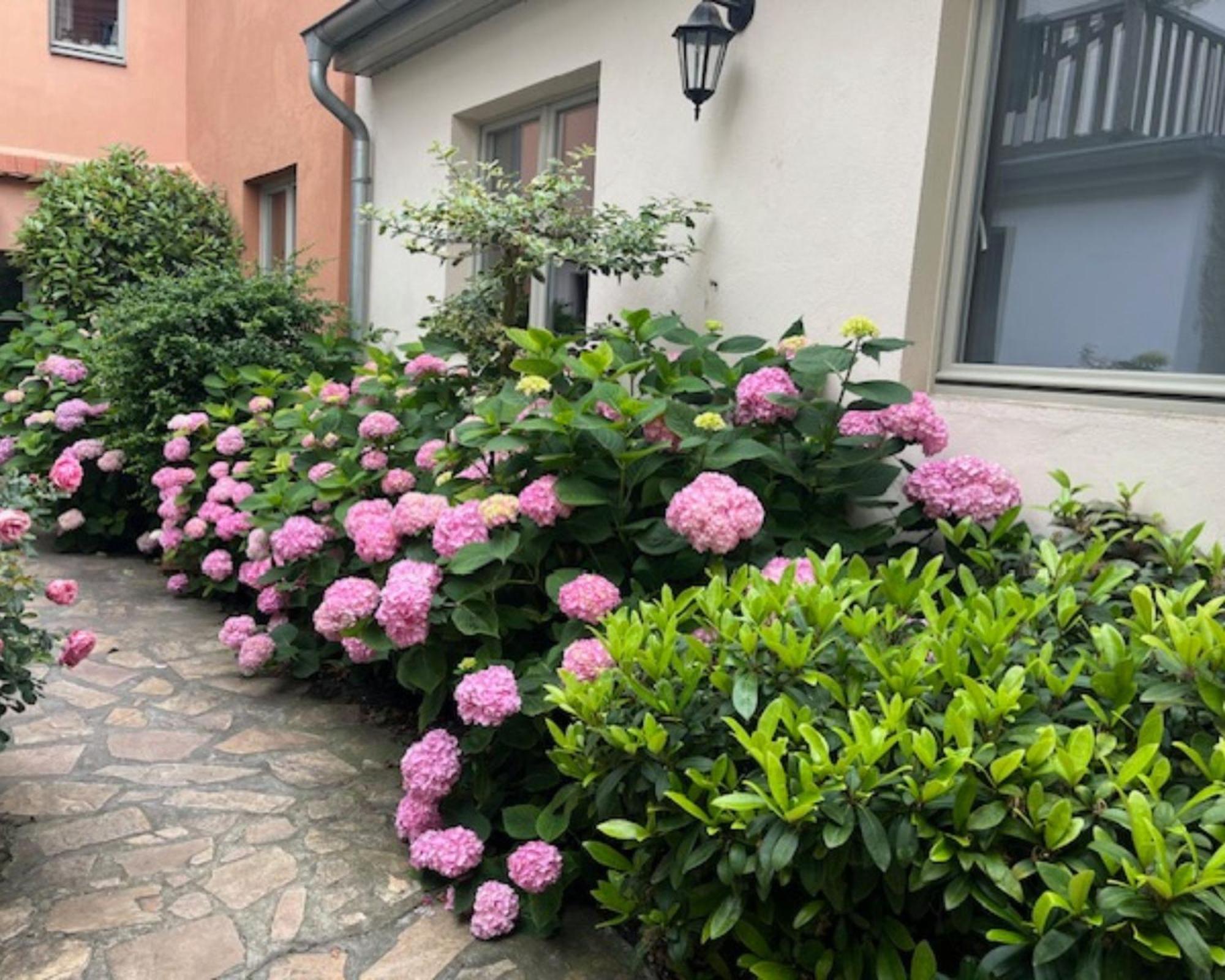 Altstadt-Quartier Stendal Dış mekan fotoğraf
